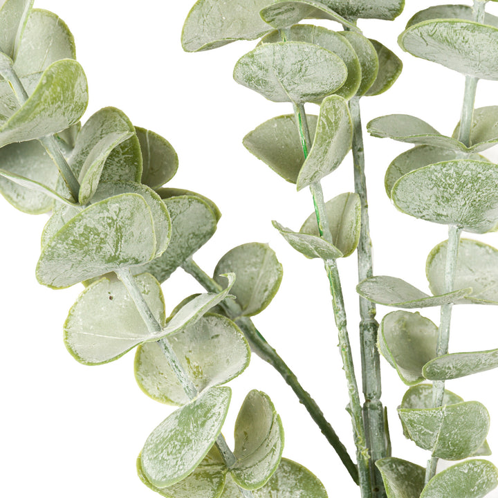 Gunnii Eucalyptus Spray - Reposing