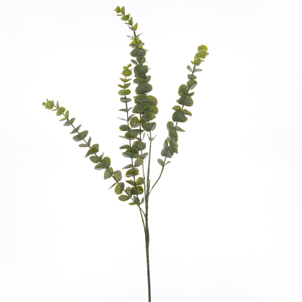 Gunnii Eucalyptus Spray - Reposing