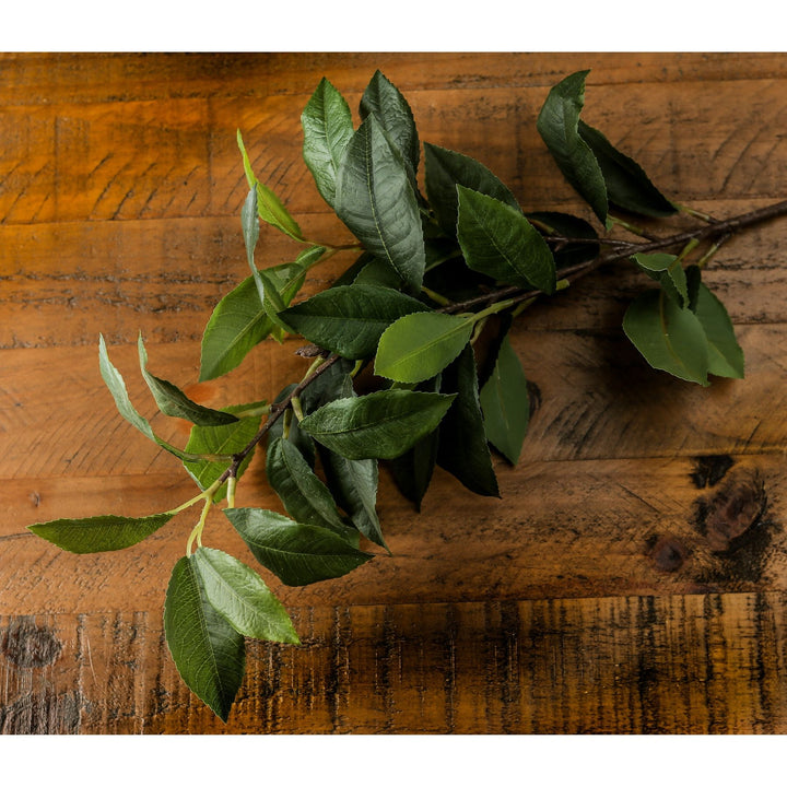 Laurel Leaf Spray - Reposing