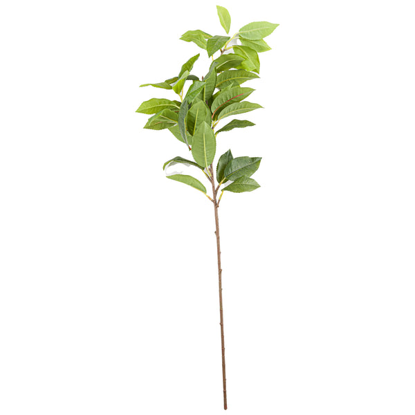 Laurel Leaf Spray - Reposing