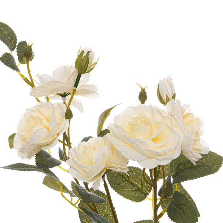 Soft White Cottage Rose Stem - Reposing