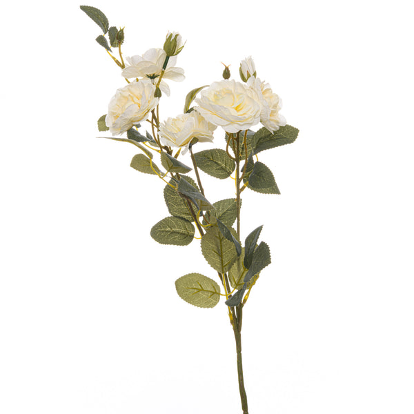 Soft White Cottage Rose Stem - Reposing