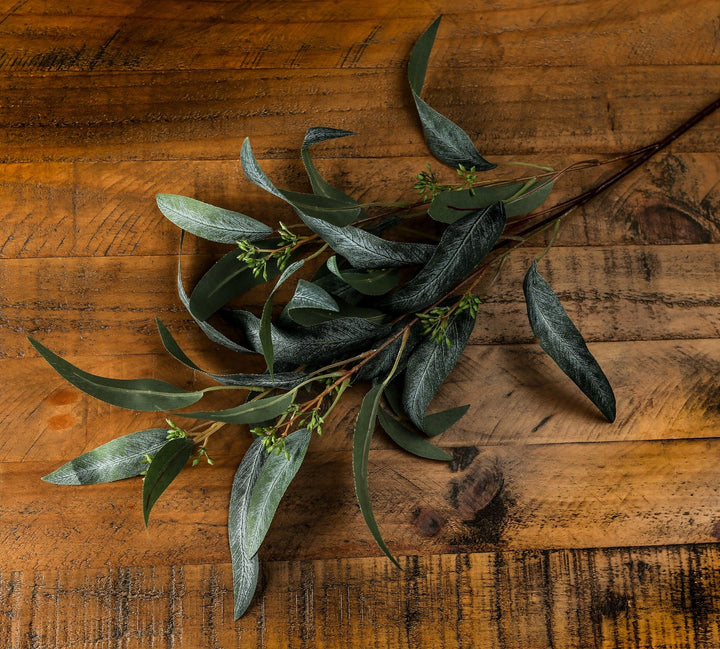 Seeded Eucalyptus Spray - Reposing