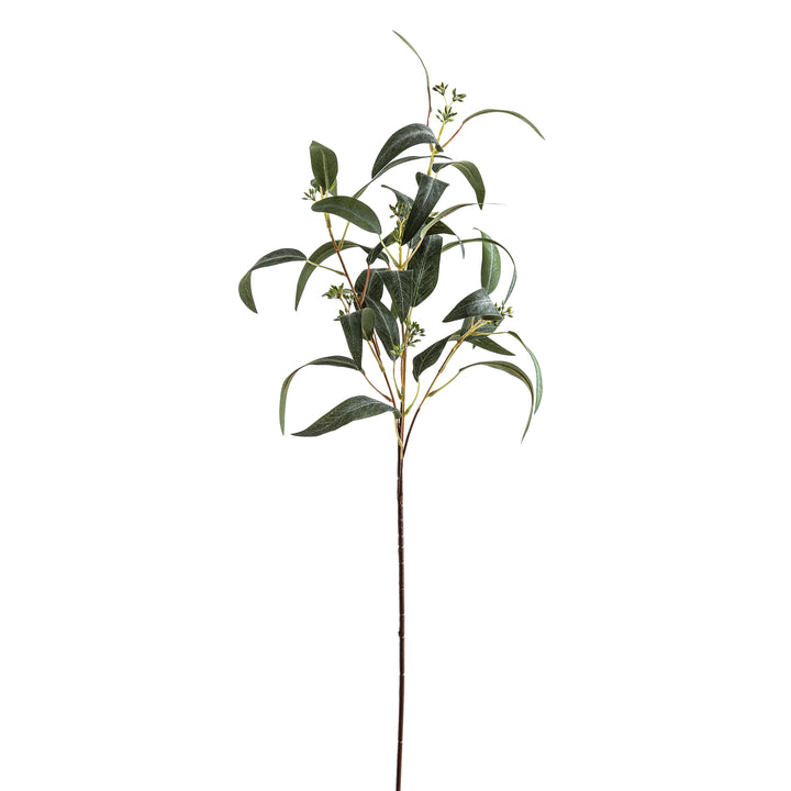 Seeded Eucalyptus Spray - Reposing