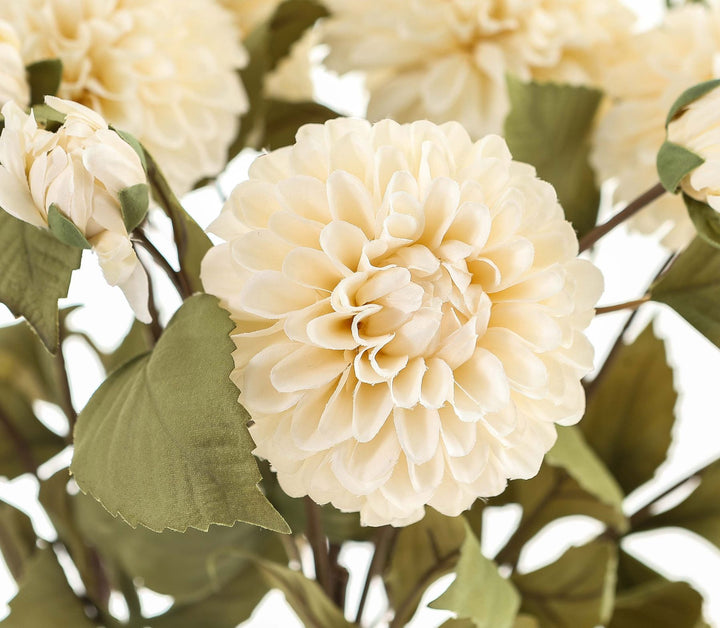 Reposing V White Dahlia Stem