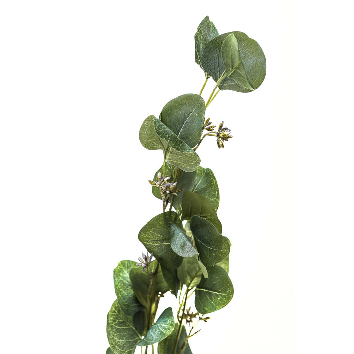 Eucalyptus Stem Spray - Reposing