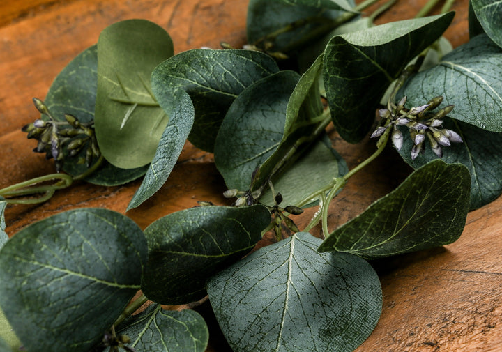Eucalyptus Stem Spray - Reposing