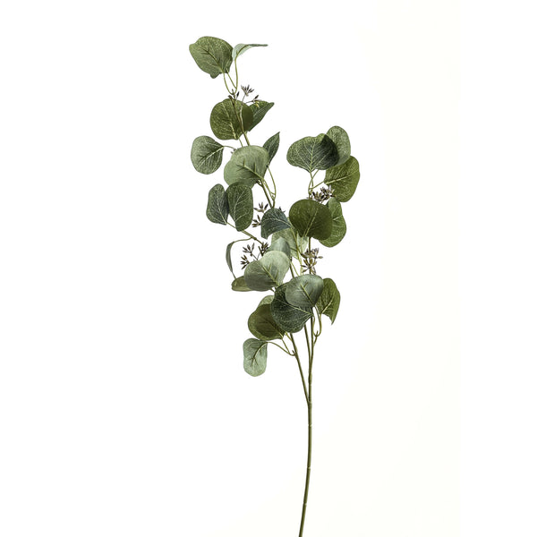 Eucalyptus Stem Spray - Reposing
