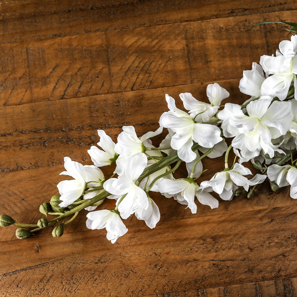 Tall White Delphinium Stem - Reposing