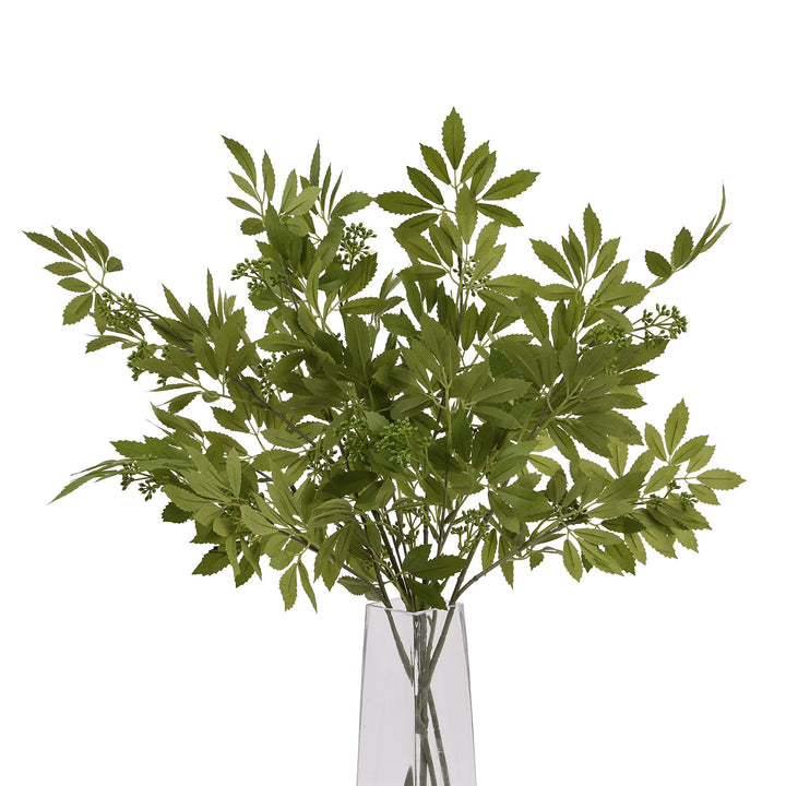 Long Fennel Stem - Reposing