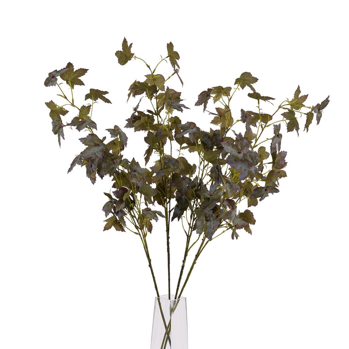 Variegated Maple Leaf - Reposing