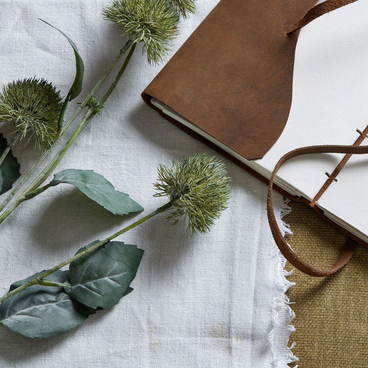 Thistle Globe Stem - Reposing