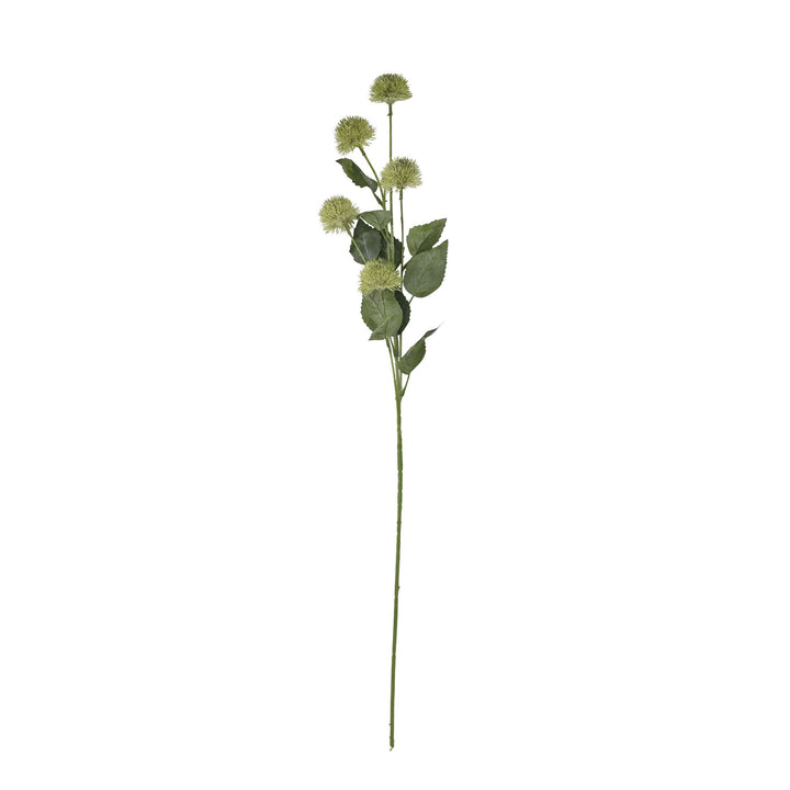 Thistle Globe Stem - Reposing