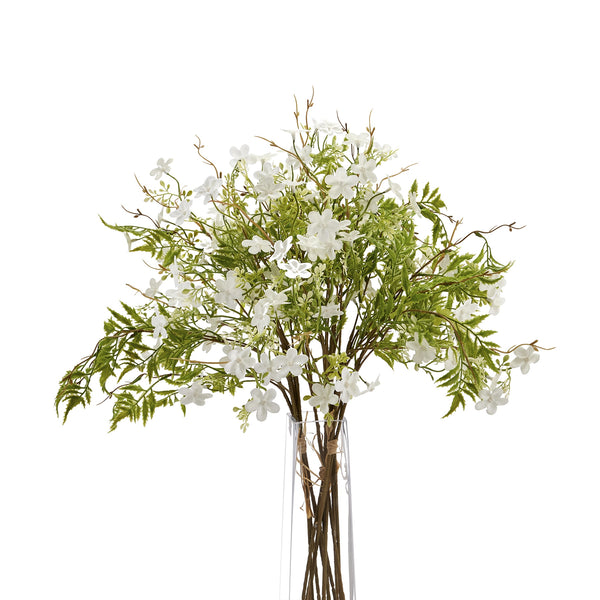 Italian White Bellflower - Reposing