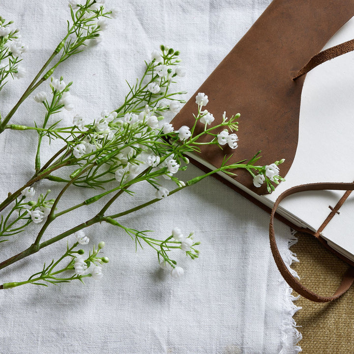 Lily Of The Valley - Reposing