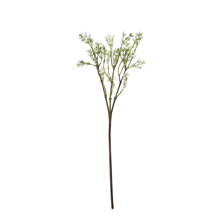 Lily Of The Valley - Reposing