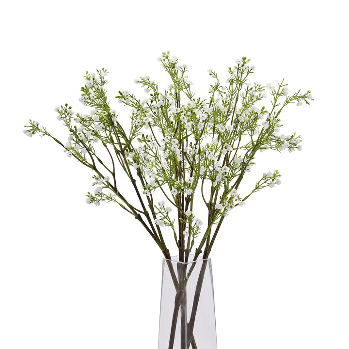 Lily Of The Valley - Reposing