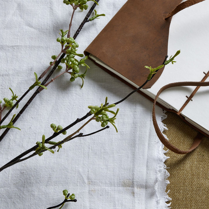 Green Berry Willow Stem - Reposing