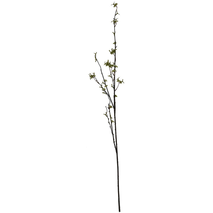 Green Berry Willow Stem - Reposing