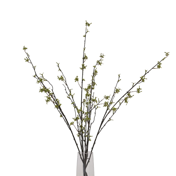 Green Berry Willow Stem - Reposing