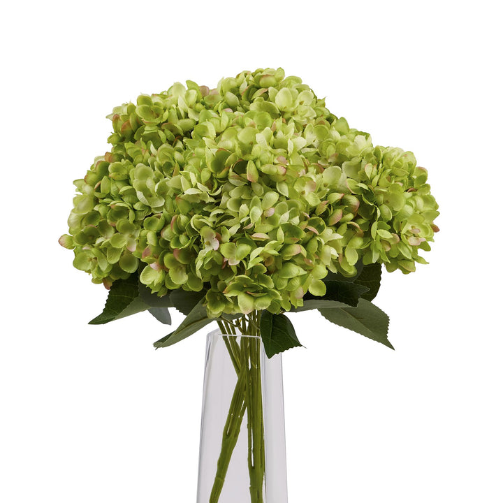 Green Hydrangea Bunch - Reposing