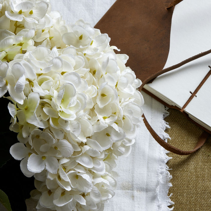 White Hydrangea Bunch - Reposing