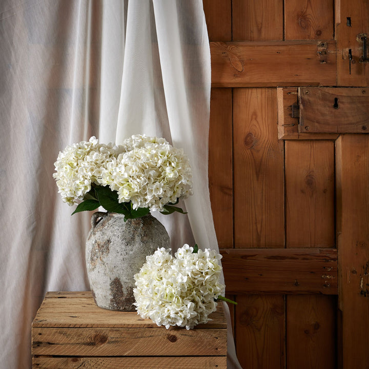 White Hydrangea Bunch - Reposing