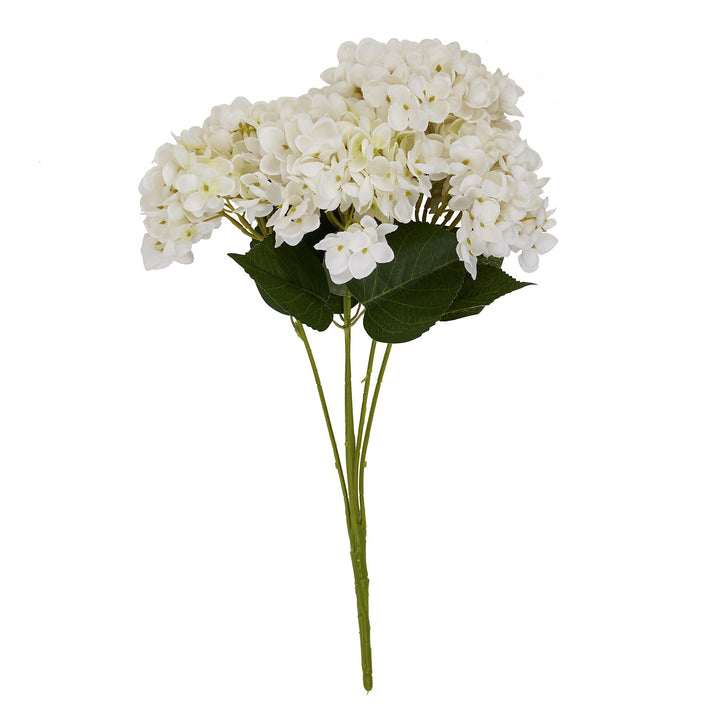 White Hydrangea Bunch - Reposing