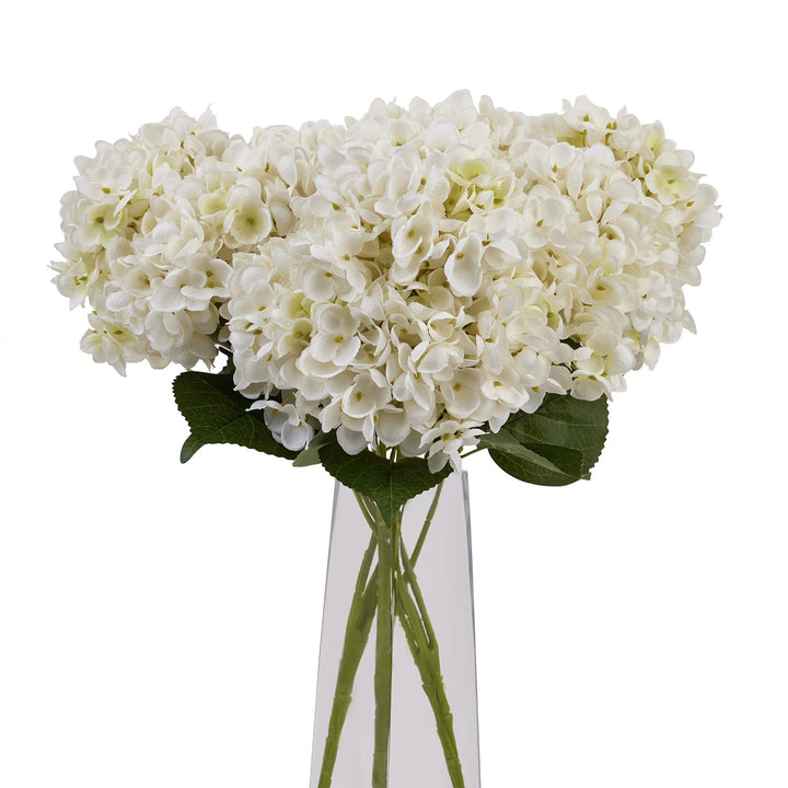 White Hydrangea Bunch - Reposing