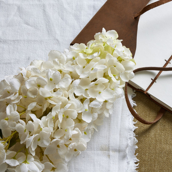 White  Spear Hydrangea - Reposing