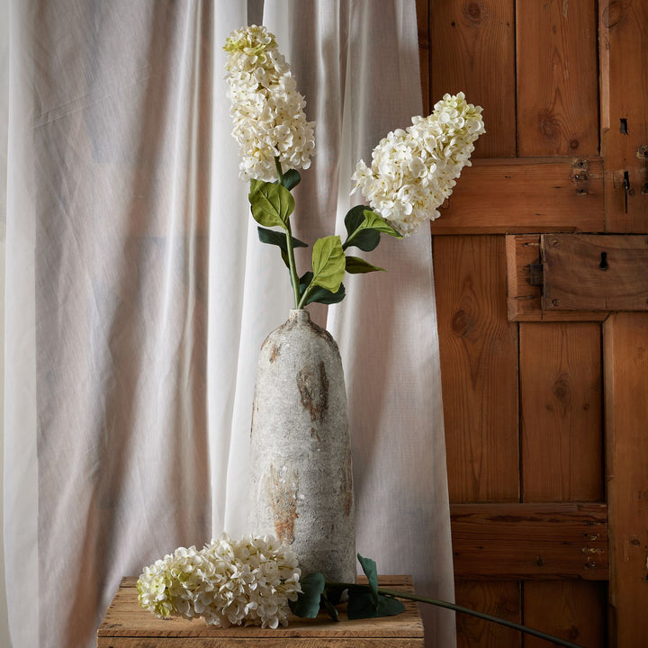 White  Spear Hydrangea - Reposing