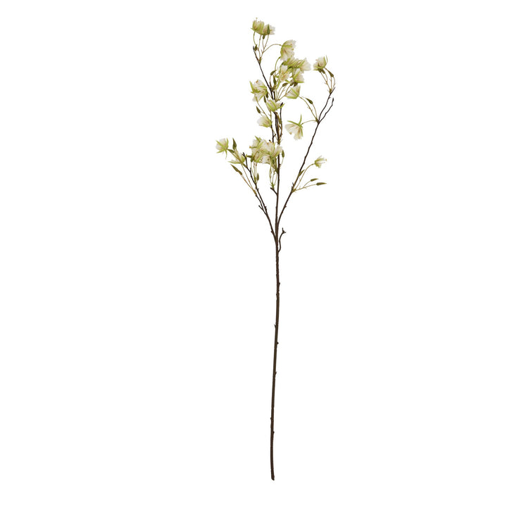 Elaeocarpus Stem - Reposing