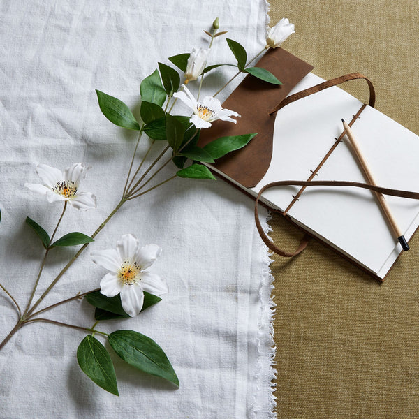 White Florida Clematis - Reposing