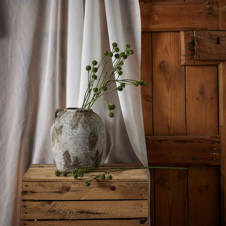 Green Craspedia Stem - Reposing