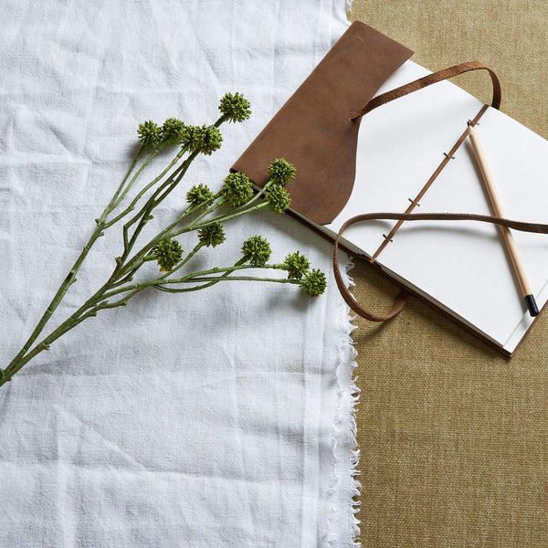 Green Craspedia Stem - Reposing