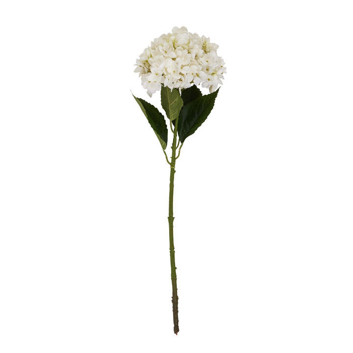 White Hydrangea Stem - Reposing