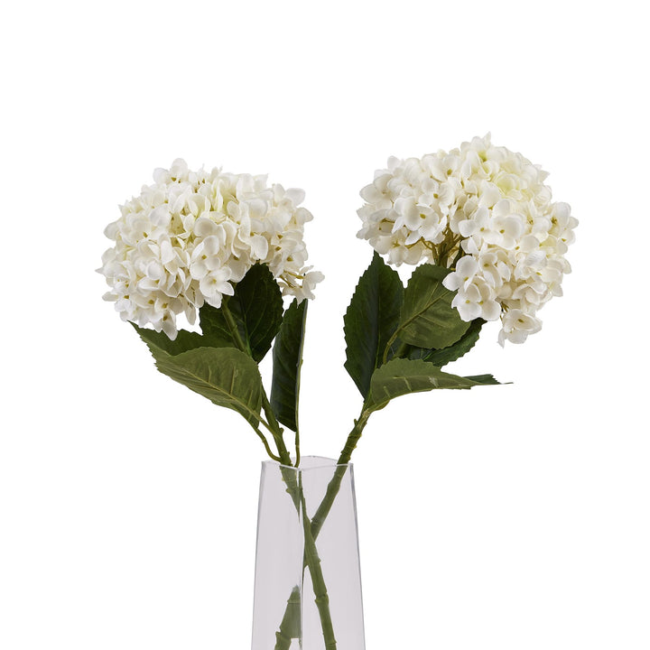 White Hydrangea Stem - Reposing