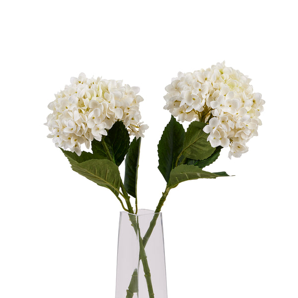 White Hydrangea Stem - Reposing