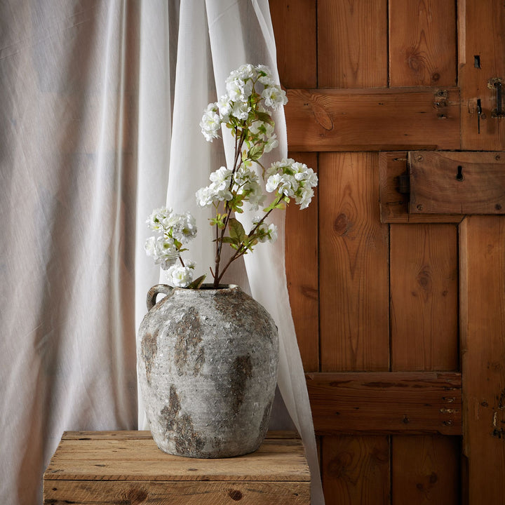 Tall White Blossom - Reposing