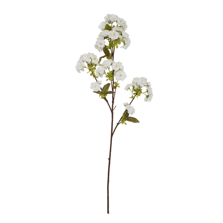 Tall White Blossom - Reposing