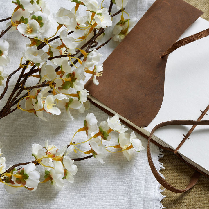White Japanese Blossom - Reposing