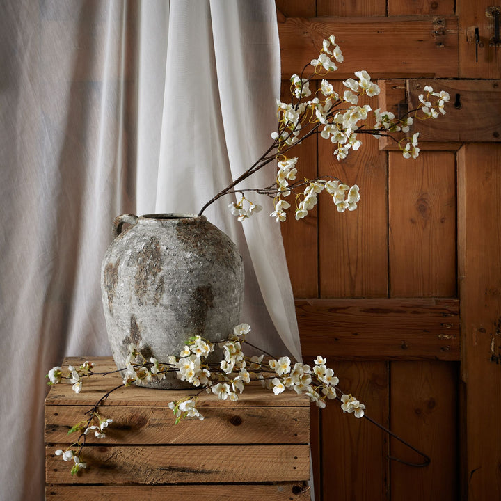 White Japanese Blossom - Reposing