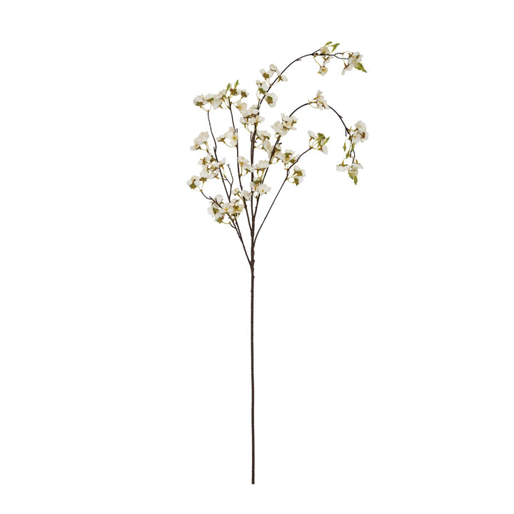 White Japanese Blossom - Reposing