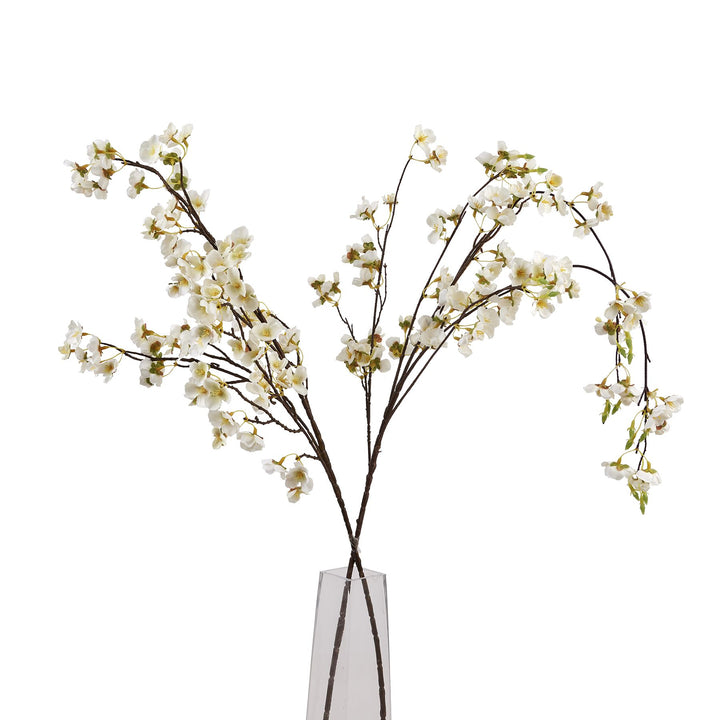 White Japanese Blossom - Reposing