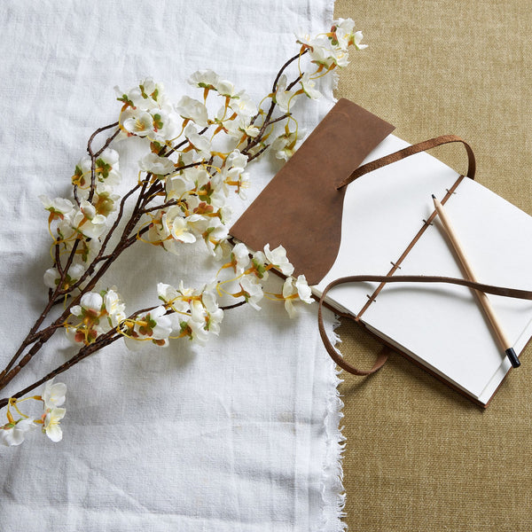 White Japanese Blossom - Reposing