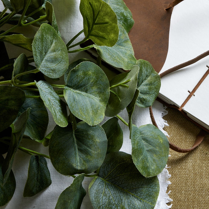 Short Eucalyptus Bunch - Reposing