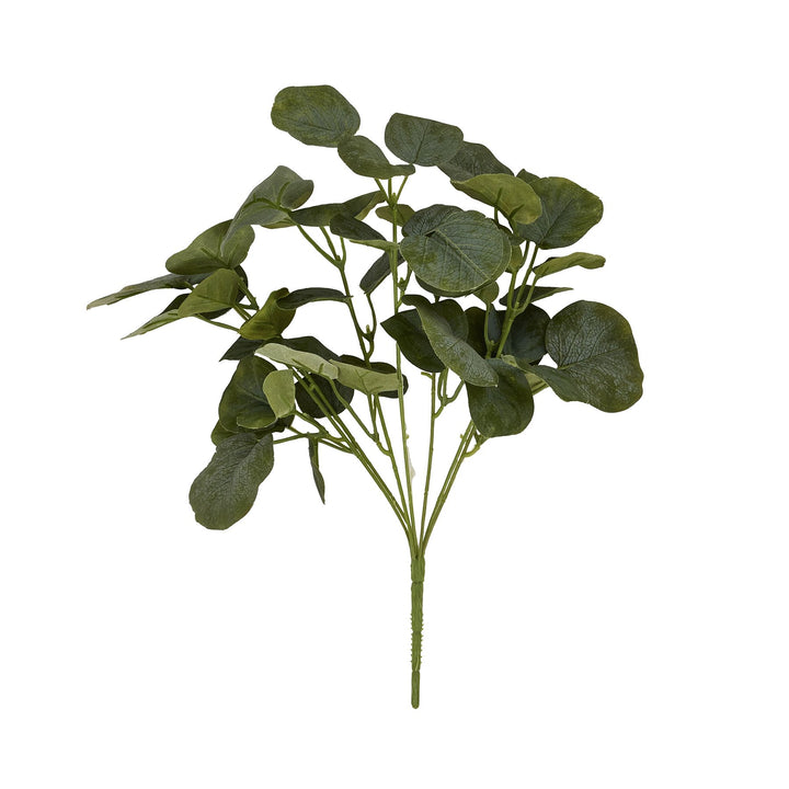 Short Eucalyptus Bunch - Reposing