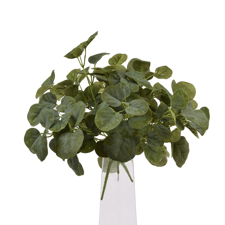 Short Eucalyptus Bunch - Reposing
