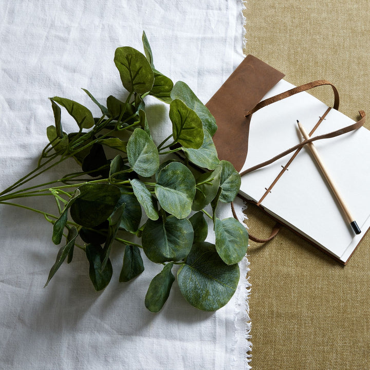 Short Eucalyptus Bunch - Reposing
