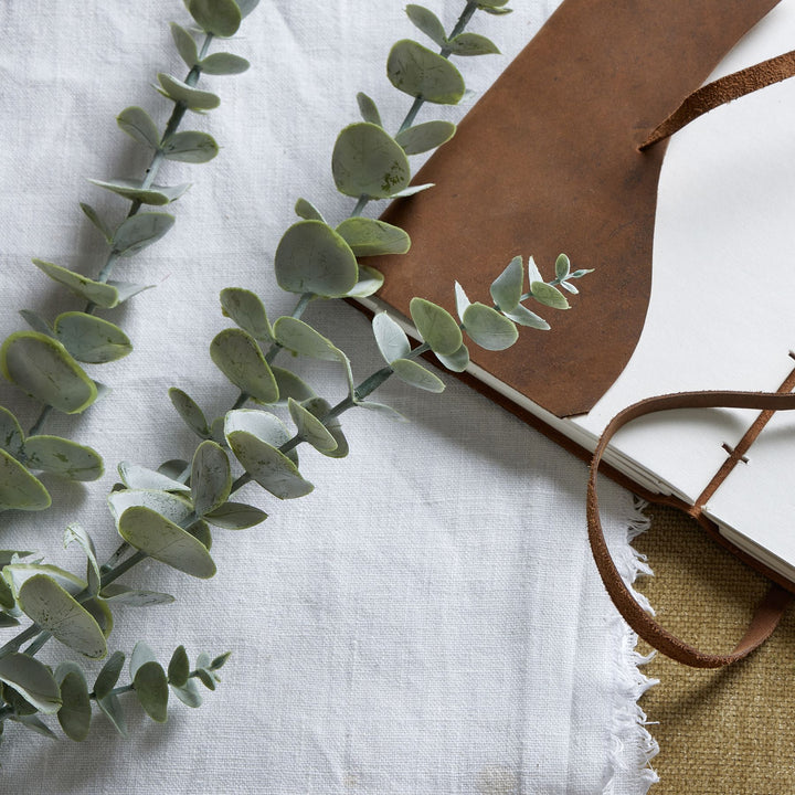 Gunnii Blue Eucalyptus Spray - Reposing